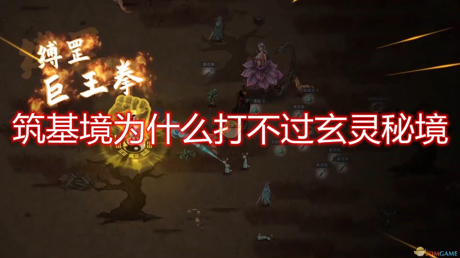涨知识!这场“萤火助老”活动让他们收获满满