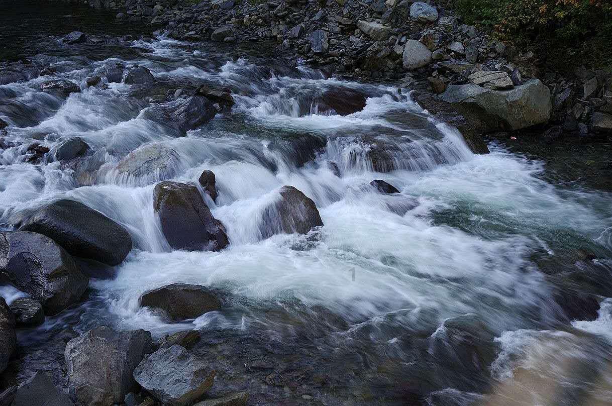 拯救精灵的土地6